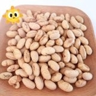 Popular Coated Roasted Spciy Yellow Edamame Soya Bean Snacks Kosher With Halal And FDA CertificationSnack Food