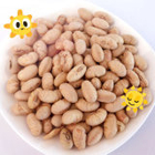 Popular Coated Roasted Spciy Yellow Edamame Soya Bean Snacks Kosher With Halal And FDA CertificationSnack Food