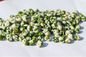 Full Nutrition Green Peas Snack Salted Taste Marrowfat Kosher Product Customized