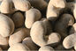 BBQ Roasted Cashew Nut Snacks Various Vitamins Hard Texture Good For Eyesight