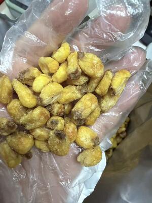 Premium Crispy Corn Nuts and Soya Bean Snacks with 4 Popular Flavors and Long Shelf Life