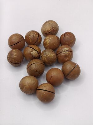 Premium Macadamia Nuts with Pre-Opened Cracks for Easy Peeling - Creamy and Buttery Roasted Nuts