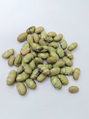 Salted Edamame Snacks with Natural Color, Crispy Texture, and Pure Bean Flavor