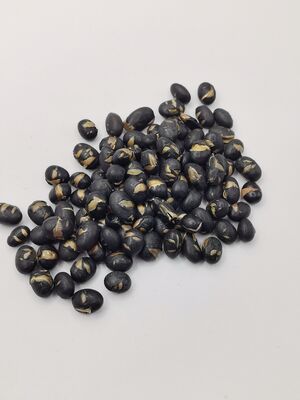 Crispy Savory Nutritious Salted Black Beans Roasted Soybean Snack for Wholesale