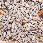 Handpicked  Delicious Raw Sunflower Kernels Low Calorie 100% Green Foods