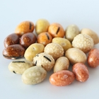 FDA/BRC/Kosher/Halal Certified Colorful Roasted Peanuts NON-GMO Crispy and Crunchy Snacks