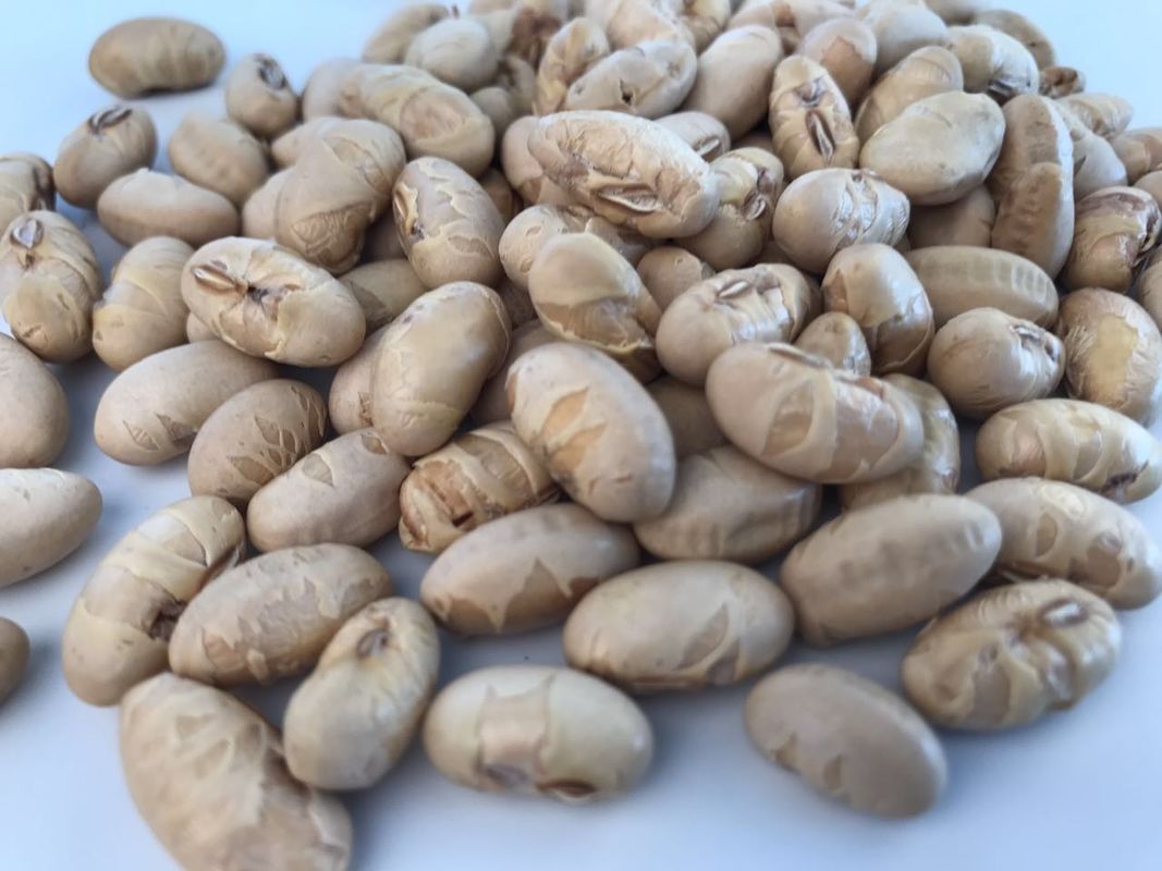 Sea Salt Flavor Roasted Soya Beans Pure Natural No Additive