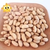 Natural healthy OEM Roasted Salted Soya Bean Snacks Handpicked Vegan Beans