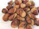 Dried Broad Beans Snack Crispy Wasabi Taste Safe Raw Ingredient OEM Service