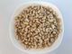 Organic Pine Raw Sprouted Nuts No Food Color Handpicked Material With OEM Service