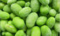 Nutritious Frozen Edamame Beans With No Rusty Spot