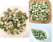 Roasted Coated White Wasabi Flavor Green Peas Kosher Certified Natural Foods