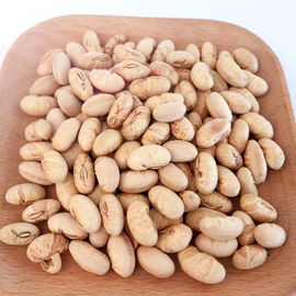 Kosher Halal Certified Coated Roasted Spicy Yellow Edamame Soya Bean Snacks ISO Approved