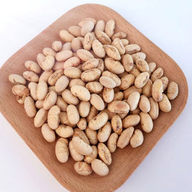 Kosher Halal Certified Coated Roasted Spicy Yellow Edamame Soya Bean Snacks ISO Approved