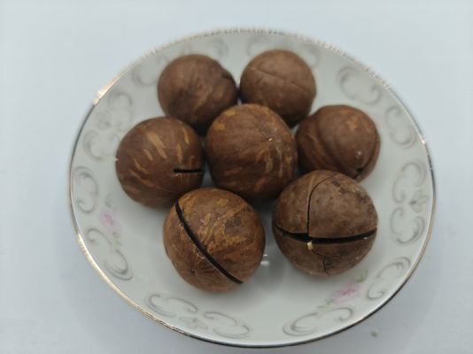 Macadamia Nuts