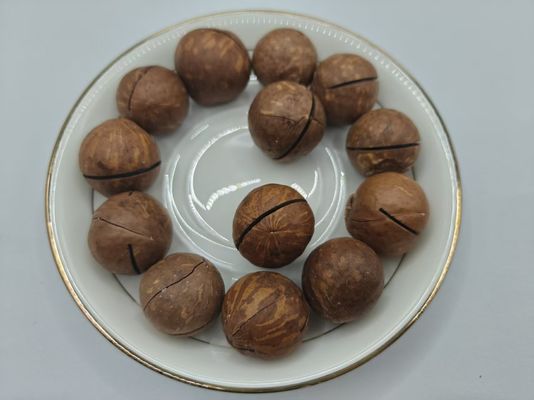 Macadamia Nuts