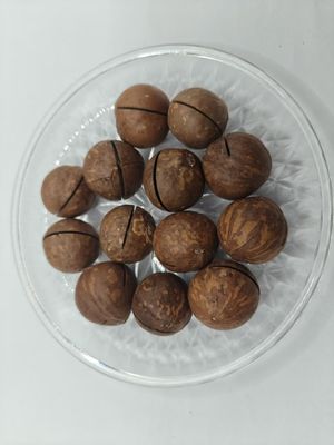 Macadamia Nuts