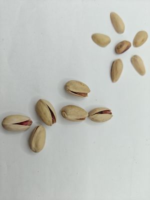 Satisfy Cravings Roasted Salt Pistachio In Shell Free Sample
