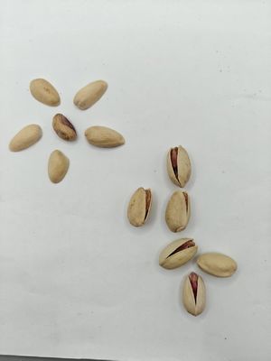 Satisfy Cravings Roasted Salt Pistachio In Shell Free Sample