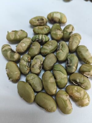 Food Additive NONE Soya Bean Snacks Private Label Acceptable Style Baking Made From Ingredients Offering Crispy Texture And Natural Flavor