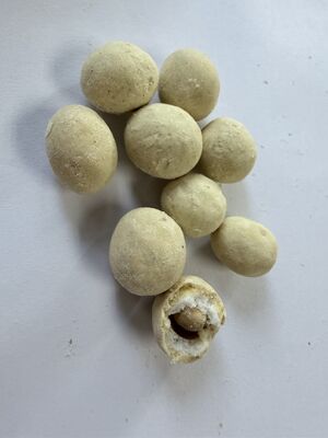 High Protein Coated Soybean Snacks with Five Classic Flavors Made from Premium Yellow Soybeans