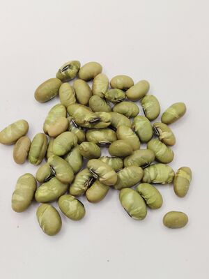 Salted Edamame Snacks with Natural Color, Crispy Texture, and Pure Bean Flavor