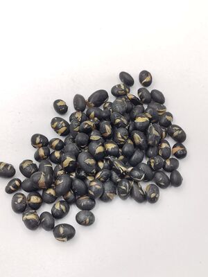 Crispy Savory Nutritious Salted Black Beans Roasted Soybean Snack for Wholesale