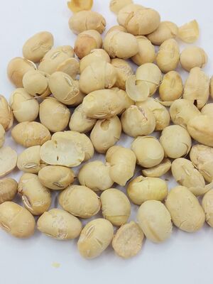 Lightly Salted High-Protein Shell-Free Crispy Roasted Soybeans Soya Bean Snacks