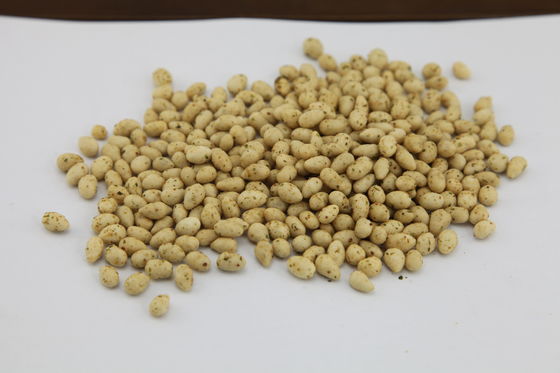 Kosher Certified Sunflower Seeds Snack , Roasted Sunflower Kernels Delicious Flavor