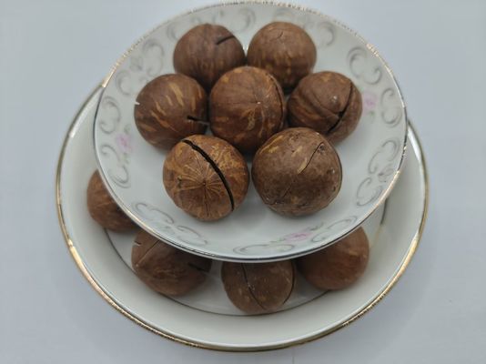 Macadamia Nuts