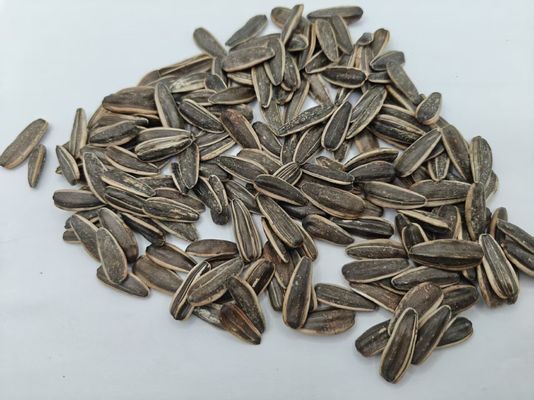 Original Flavor Salt Vinegar Sunflower Seeds