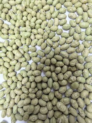 Baked Organic Soya Bean Crunchies Nutrient Dense Protein Snack Ideal for Food Manufacturers and Health Oriented Products