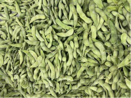 HALAL Certified High Protein Frozen Edamame Beans