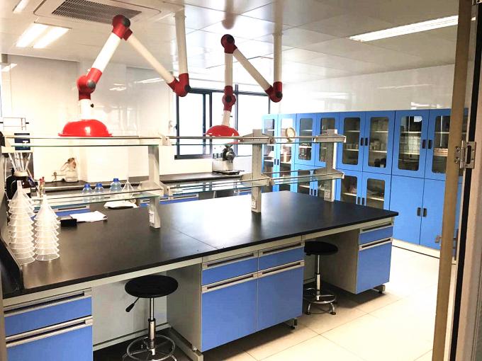 Wasabi Coated Green Dehydrated Peas Snack Natural Gas Roasted Kosher