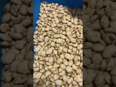 Healthy Dried Fava Beans Nutrition Roasted Seasoning Customized Avaliable